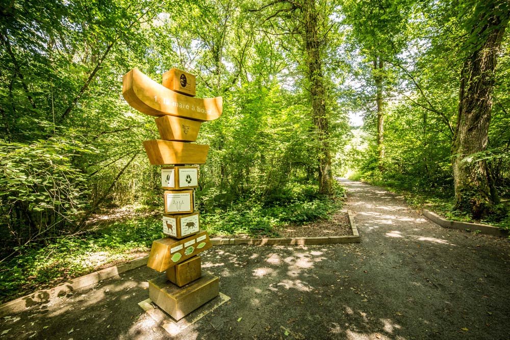 Panneau d'interprétation en bois avec pictogrammes d'empreintes d'animaux sauvages installé le long d'un sentier forestier ombragé dans le Parc naturel régional des Ardennes, illustrant la création de sentiers d'interprétation adaptés de l'espace forestier à Renwez et les Mazures
