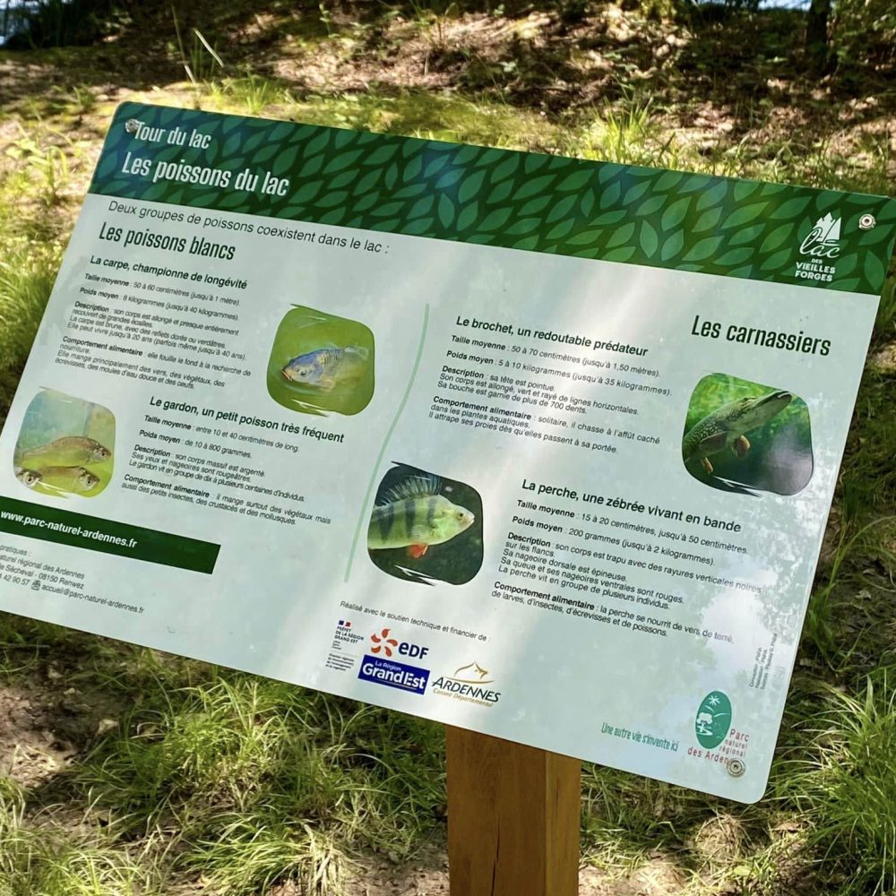 Panneau d'interprétation sur les poissons du lac des Vieilles Forges installé lors de la réalisation de sentiers d'interprétation dans le Parc naturel régional des Ardennes pour l'éducation environnementale