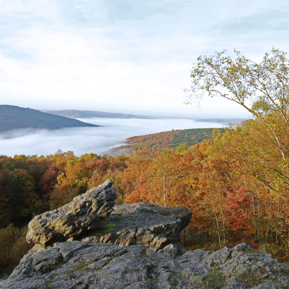 Site du Roc la Tour au sein du Parc naturel régional des Ardennes en automne avec mer de nuages