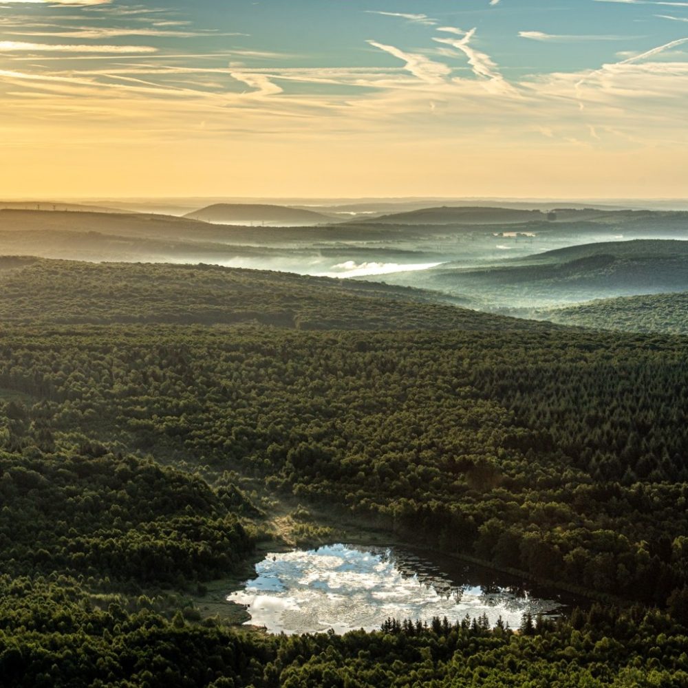 Vue panoramique du Parc naturel régional des Ardennes au coucher du soleil, avec des collines boisées et un étang reflétant le ciel doré
