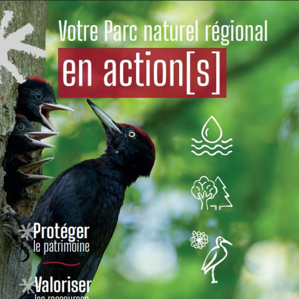 Le Parc en actions – Ensemble, faisons vivre notre territoire !