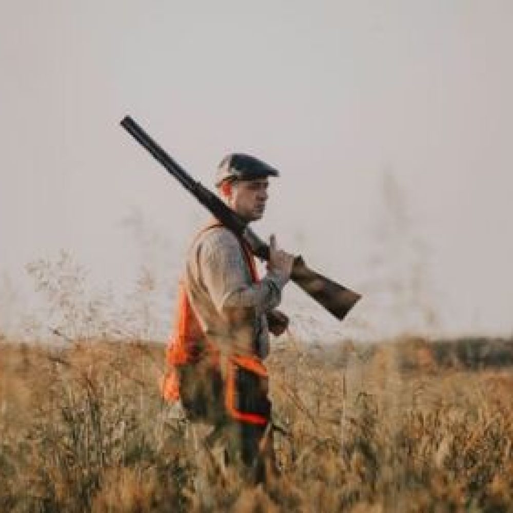Le calendrier des dates de chasse 2025-2026 est en ligne