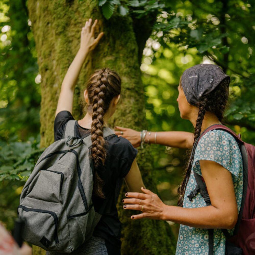 Deux femmes en randonnée caresse le tronc d'un arbre