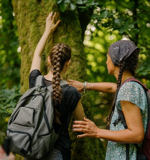 La forêt : un allié santé !