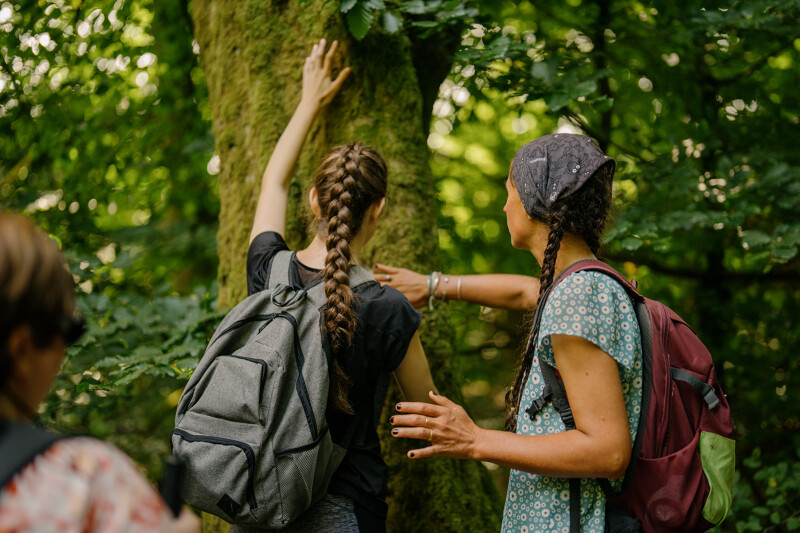 Deux femmes en randonnée caresse le tronc d'un arbre