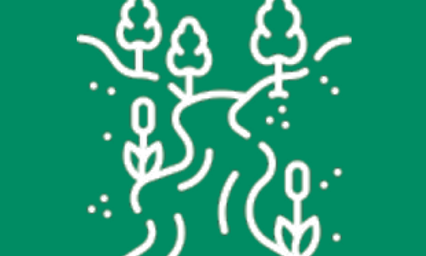 Pictogramme ruissellement