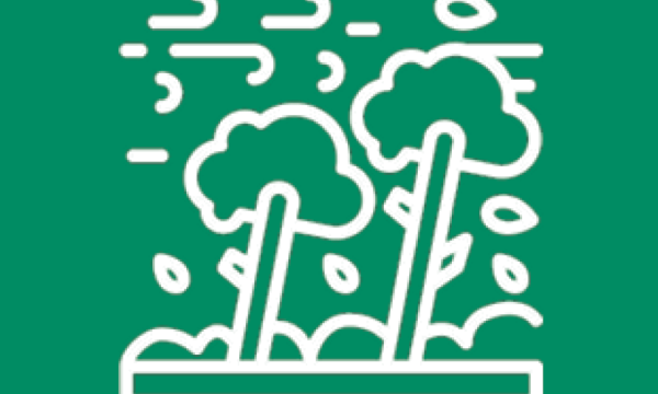 Pictogrammes grands vents