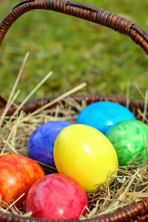 Une chasse aux œufs autour de la rivière