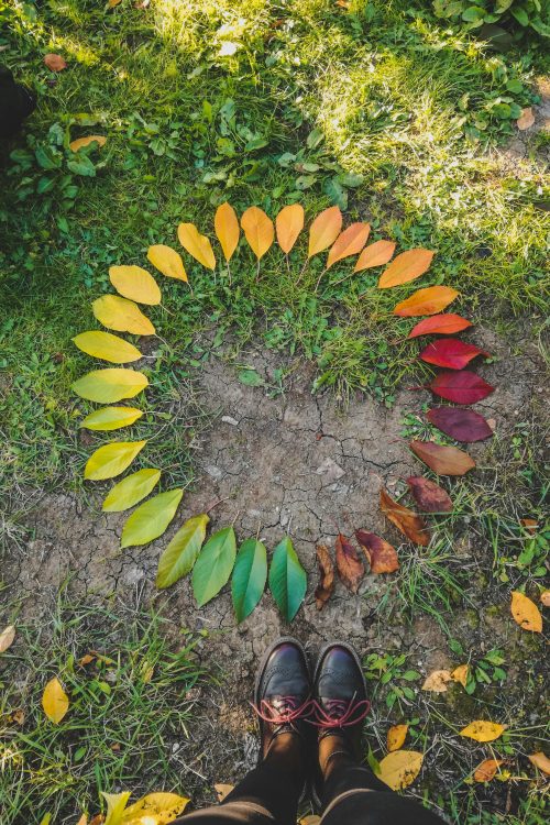 Petits artistes de la nature (Land art)