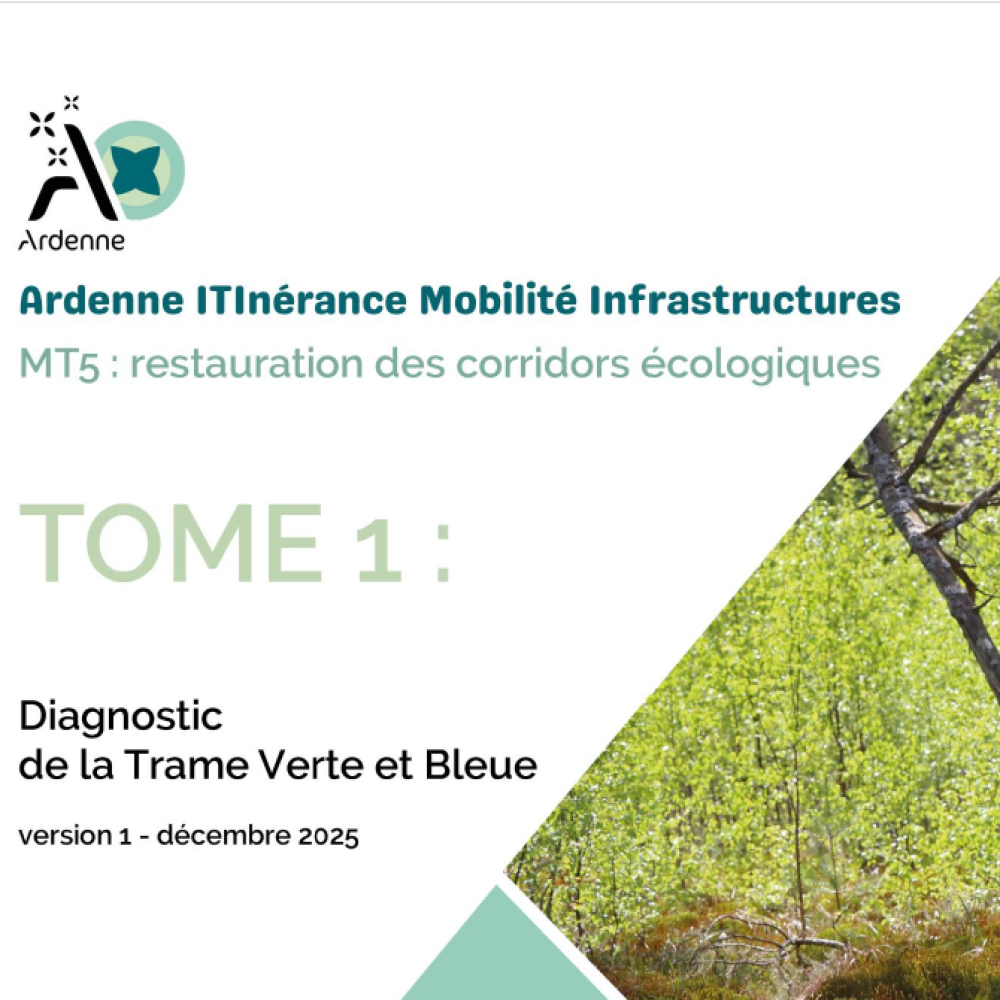 Vers un tourisme régénératif ou comment accorder vélo et biodiversité