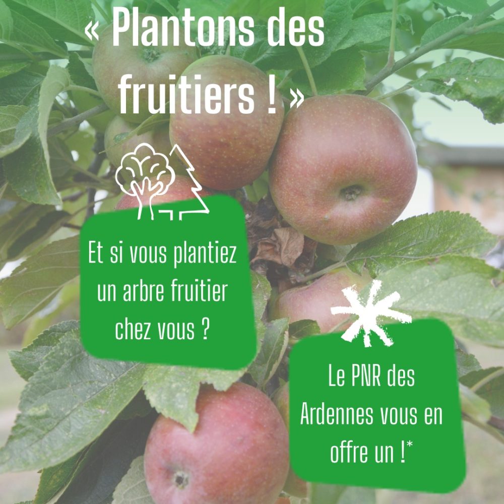 Un arbre fruitier offert pour votre jardin